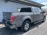Used 2011 Ford F150 FX4 w/ FX Luxury Pkg image 6