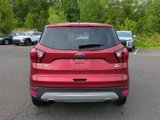 Used 2019 Ford Escape SE image 4