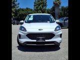 Used 2021 Ford Escape SE w/ Cold Weather Package image 2
