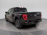 Certified 2022 Ford F150 XLT w/ Equipment Group 302A High image 3