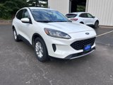 Used 2020 Ford Escape SE image 3
