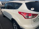 Used 2014 Ford Escape SE w/ Equipment Group 201A image 4