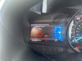 Used 2019 Ford Edge Titanium w/ Equipment Group 301A image 2