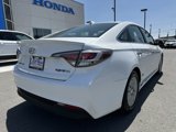 Used 2016 Hyundai Sonata SE image 6