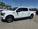 Used 2019 Ford F150 XLT w/ Equipment Group 302A Luxury image 2