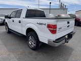 Used 2012 Ford F150 XLT w/ XLT Convenience Pkg image 5