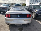 Used 2015 Ford Mustang Convertible w/ Equipment Group 051A image 4