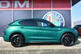 New 2024 Alfa Romeo Stelvio Quadrifoglio w/ Active Assist Plus Package image 2