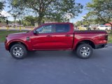 New 2025 Ford Ranger XLT image 4