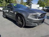 Used 2014 Ford Mustang GT w/ Equipment Group 301A image 6