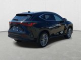 Certified 2024 Lexus NX 300h AWD w/ Vision Package image 6