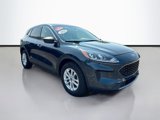 Used 2022 Ford Escape SE w/ Convenience Package image 3