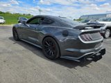 Used 2019 Ford Mustang Coupe w/ Ecoboost Performance Package image 3