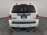 Used 2011 Ford Escape Limited w/ 302A Rapid Spec Order Code image 4