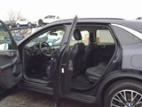 Used 2021 Ford Escape SEL image 6