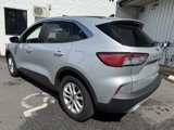 Used 2020 Ford Escape SE image 3