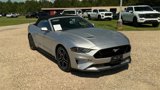 Used 2019 Ford Mustang GT Premium image 2