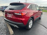 Used 2022 Ford Escape SE w/ Cold Weather Package image 3