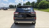 Used 2020 Ford Escape SEL image 4