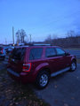 Used 2008 Ford Escape Limited image 4