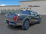 Used 2019 Ford F150 Raptor w/ Equipment Group 802A Luxury image 5