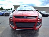 Used 2014 Ford Escape SE w/ Equipment Group 201A image 2