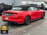 Used 2022 Ford Mustang Premium image 3
