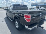 Used 2013 Ford F150 XLT w/ XLT Chrome Pkg image 5