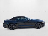 Used 2018 Ford Mustang Premium w/ Equipment Group 201A image 4