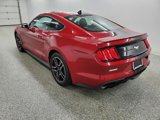 Used 2023 Ford Mustang Premium w/ Security Package image 6