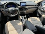 Used 2020 Ford Escape Titanium image 2
