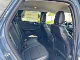 New 2025 Ford Escape SE image 5