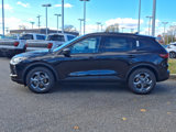 New 2025 Ford Escape ST-Line w/ Cold Weather Package image 4
