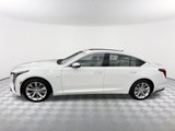 New 2025 Cadillac CT5 Premium Luxury image 2