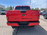 Certified 2020 Ford F150 XLT w/ Equipment Group 302A Luxury image 5