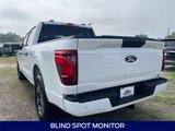 New 2024 Ford F150 STX image 5