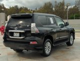 Used 2019 Lexus GX 460 image 5