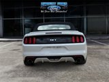 Used 2015 Ford Mustang GT Premium w/ Equipment Group 401A image 4