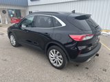 Used 2022 Ford Escape Titanium w/ Titanium Elite Package image 3