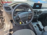 Used 2022 Ford Escape SE w/ Convenience Package image 4