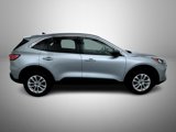 Used 2022 Ford Escape SE w/ Cold Weather Package image 4