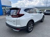 Used 2020 Honda CR-V EX image 4