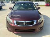 Used 2010 Honda Accord EX-L image 3