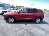 Used 2021 Ford Escape SE w/ Convenience Package image 4