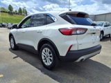 Used 2020 Ford Escape SE image 4