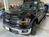 New 2025 Ford F150 XLT w/ Equipment Group 302A MID image 3
