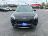 Used 2020 Ford Escape SE image 3