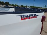 New 2025 Chevrolet Silverado 1500 Custom Trail Boss w/ Turbomax Blackout Package image 6