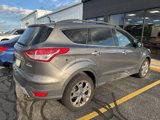 Used 2013 Ford Escape SEL image 5