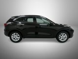 Used 2024 Ford Escape Active w/ Cold Weather Package image 4